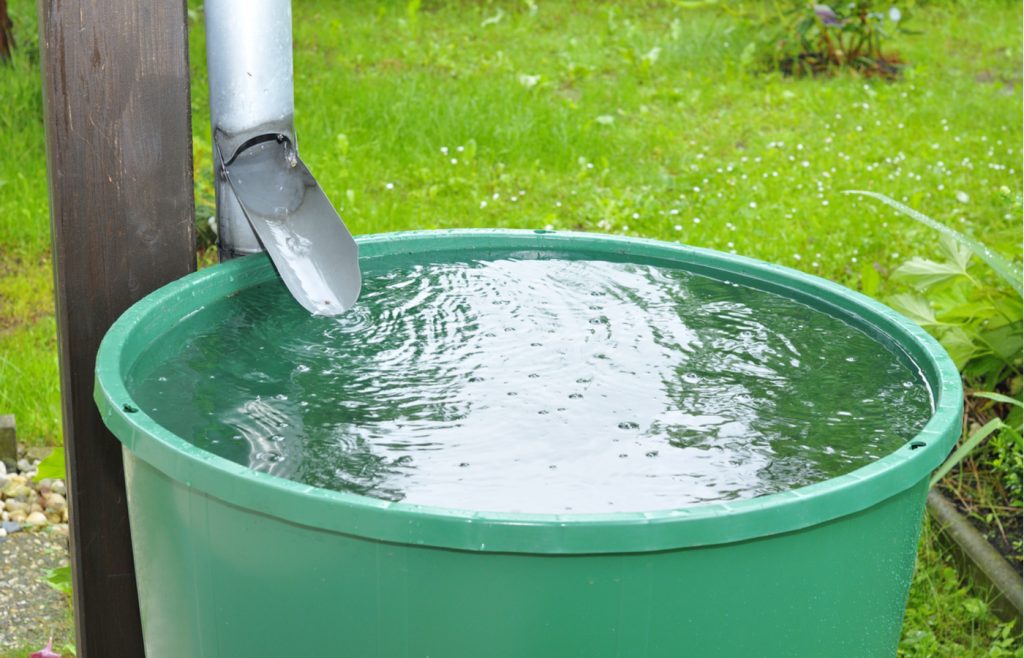 ¿Cómo cosechar lluvia y aprovecharla en tu hogar para evitar la escasez?