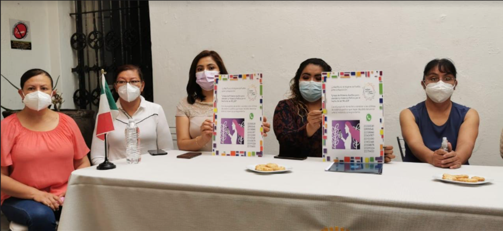Red Plural de Mujeres pide al IEE negar el registro de candidatos a Pascual Morales Martínez, Inés Saturnino López y Víctor Iglesias por maltrato de género