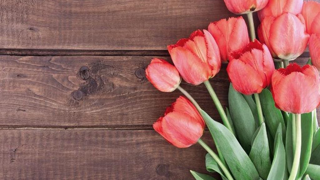 Día de las madres, ¿qué tanto cambió el gasto de los mexicanos en 2019 y 2020?