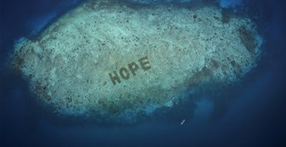 SHEBA® revela Hope Reef: se anuncia el programa de restauración de corales más grande del mundo