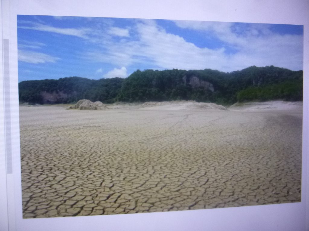 La sequía afecta a 27 estados del país, afirma dirigente campesino