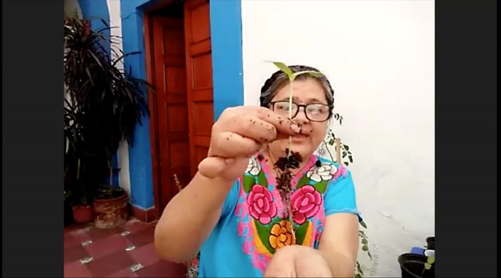 Música, baile, talleres, ponencias y más en el Museo del Ferrocarril