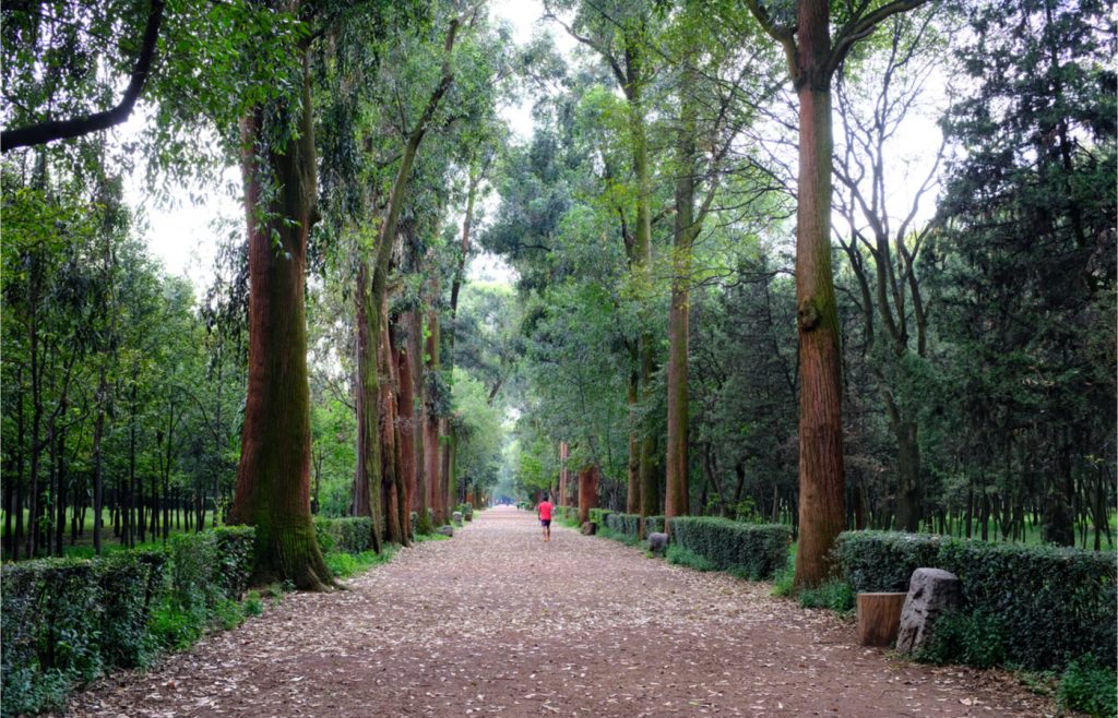 Esto cuesta vivir en las colonias de la CDMX con parques más emblemáticos