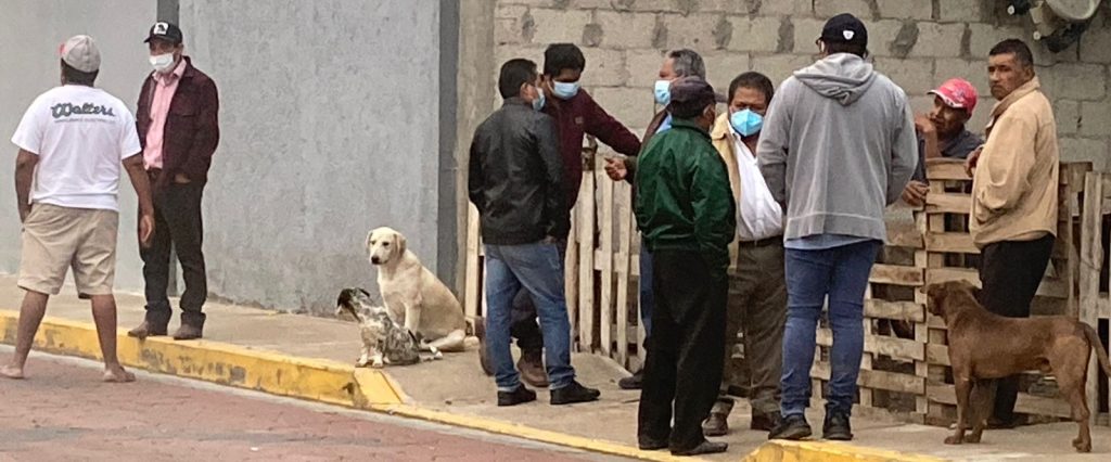 Acusan al candidato del PANAL en Tepanco de López de entregar despensas a cambio de votos