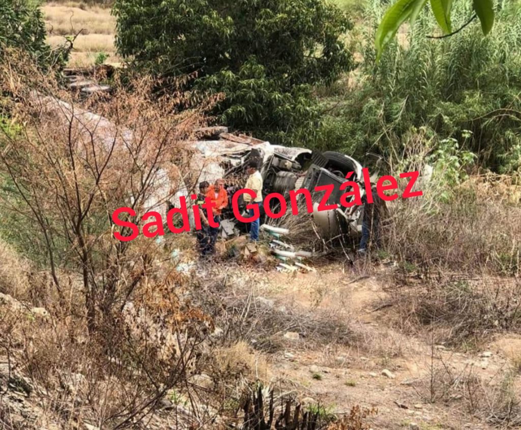 Camión cae a voladero y conductor queda gravemente lesionado