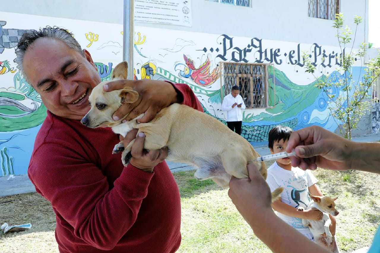 Mantiene Ayuntamiento de Puebla servicios del departamento de Protección Animal