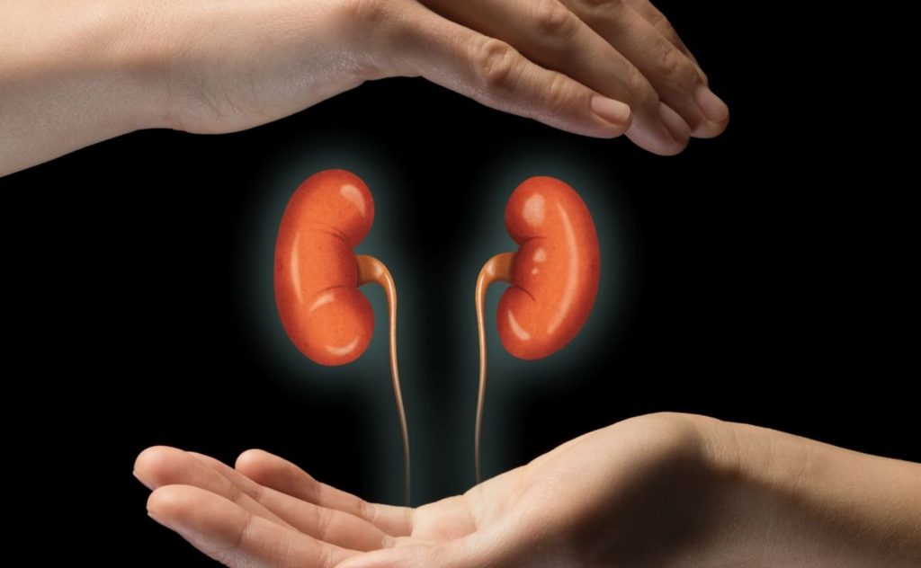 Detectan 19 mil casos de Cáncer Renal al año en México