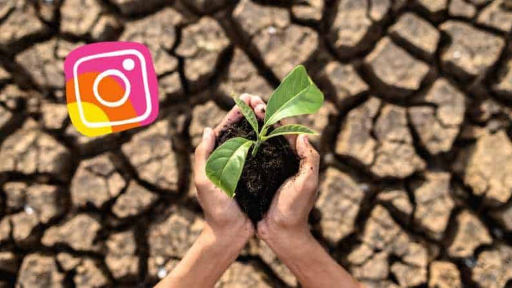 Instagram, un aliado para el activismo  medioambiental