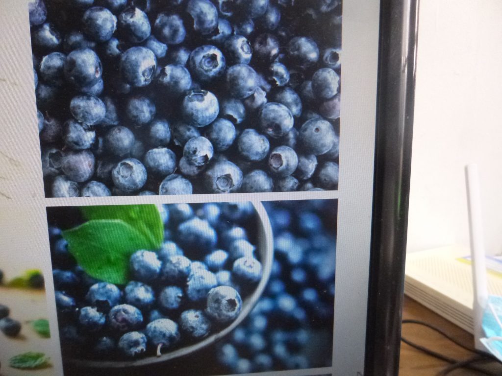 Productores de blueberry exportarán 82 toneladas a Texas