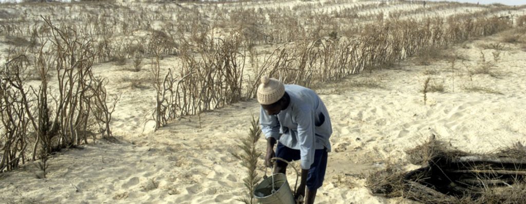 Día Mundial contra la Desertificación: la degradación de tierras socava el bienestar de 3200 millones de personas