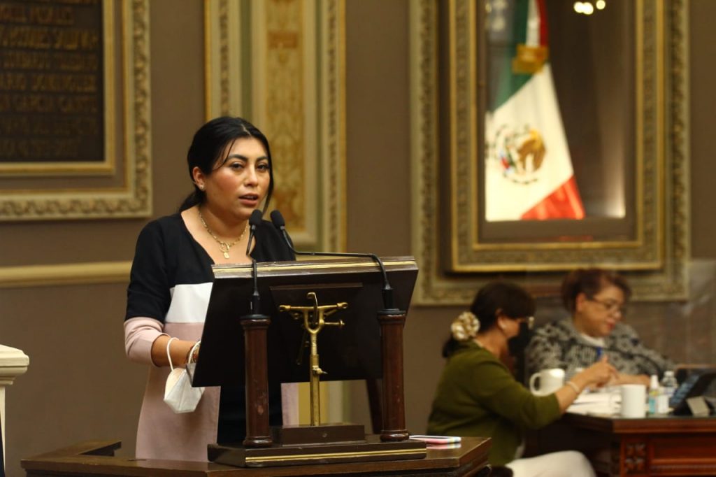 La Ley de Interrupción Legal del Embarazo y la Ley de Desaparecidos serán temas de la siguiente Legislatura, confirmó Nora Escamilla