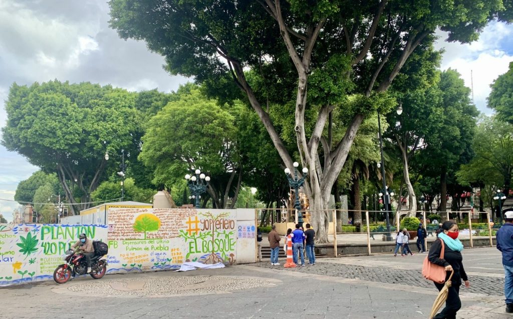 Video desde Puebla: Retiran la muralla de madera del zócalo de la capital