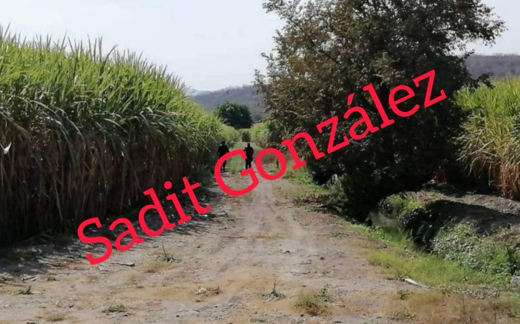 Encuentran a masculino muerto en una barranca de Tepeojuma