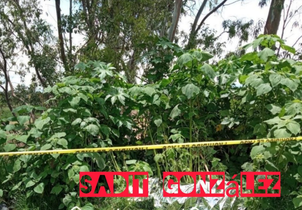 Hallan hombre ejecutado en carretera a Calpan