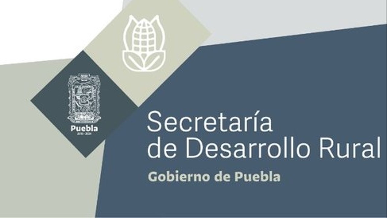 SDR entrega certificado de buenas prácticas agrícolas a productores de la Sierra Norte