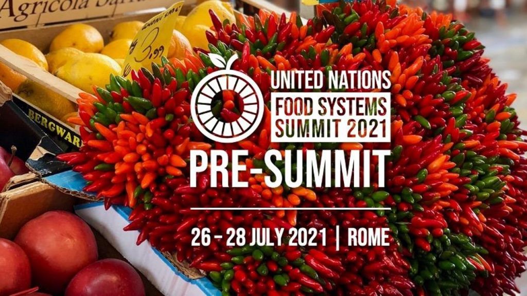 Líderes italianos y ruandeses se unen al llamamiento urgente para transformar los sistemas alimentarios del mundo en el inicio de la Pre-Cumbre de Sistemas Alimentarios de la ONU