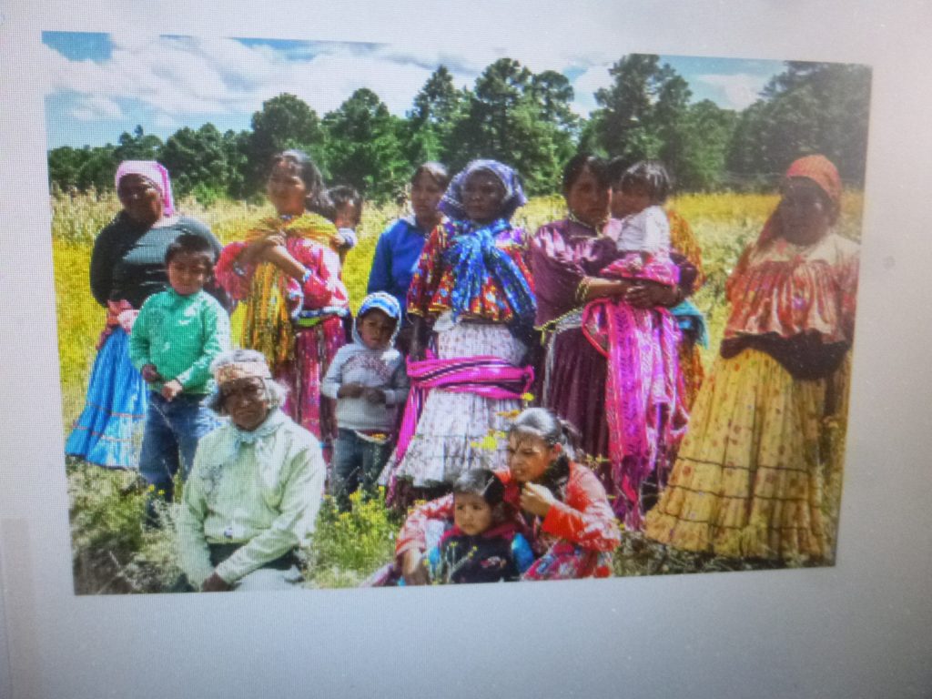 Van 9 defensores del agua asesinados en el país en lo que va del año, denunció vocero del pueblo yaqui