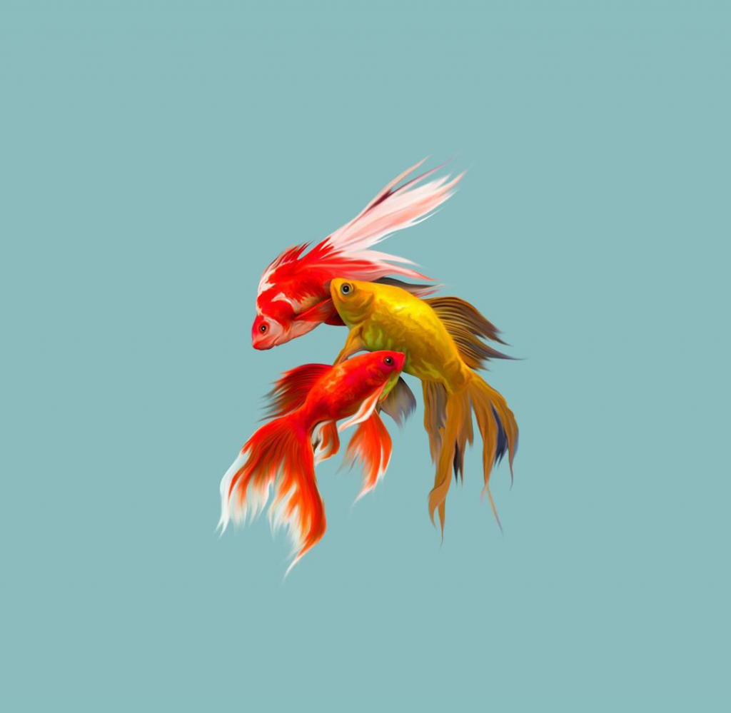 Próxima exposición del MAC: Nothing is what it used to be de Ricardo Luévanos