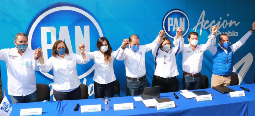 Aprueba por unanimidad CEN del PAN integrar paridad de género en renovación de CDEs