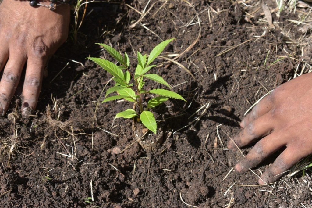 Ayuntamiento de Puebla invita a preservar el medio ambiente con talleres en Analco