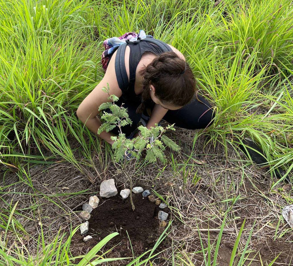 Alumnos de la UAG reforestan Bosque El Centinela