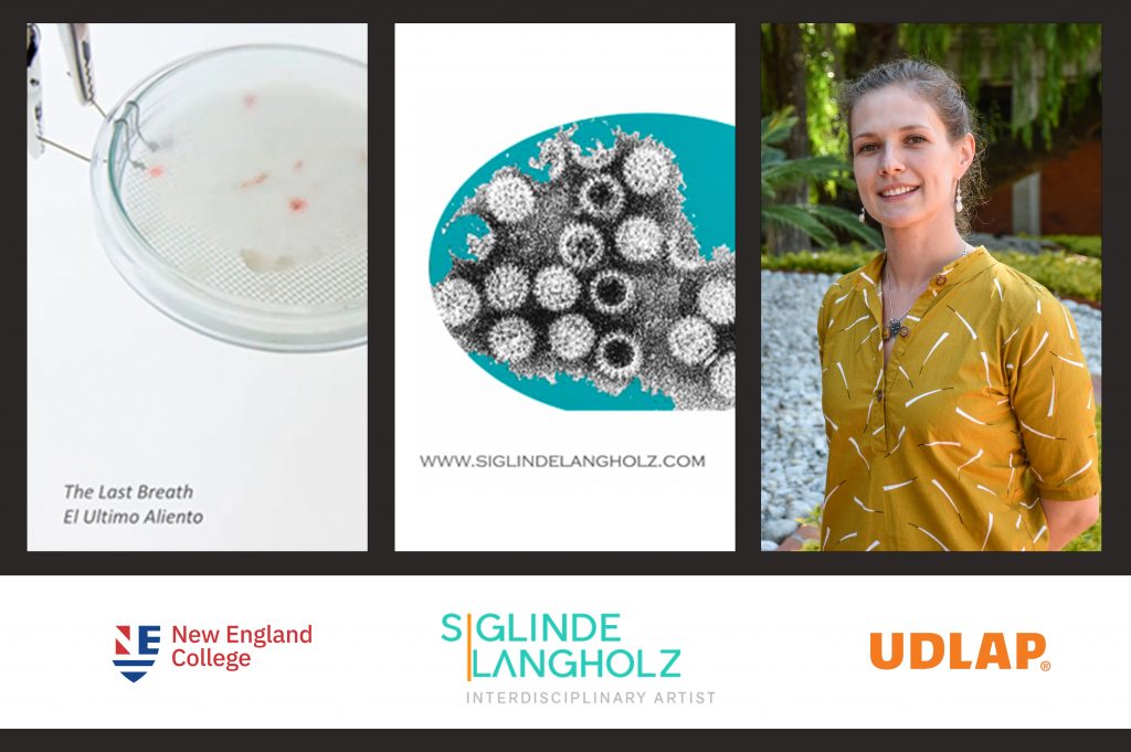 Académica UDLAP realizó residencia en la Universidad de Nueva Inglaterra