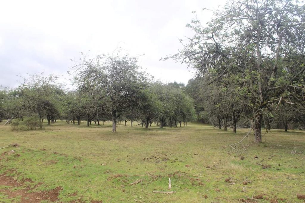 Ayuntamiento de Huauchinango culpa a la FGE por la no construcción de la Casa de Justicia para las Mujeres