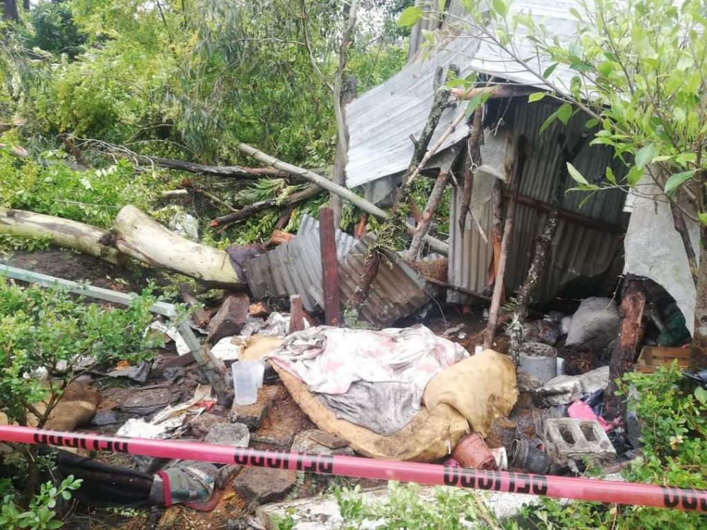 Fotonota: Muere en Huauchinango aplastado por un árbol