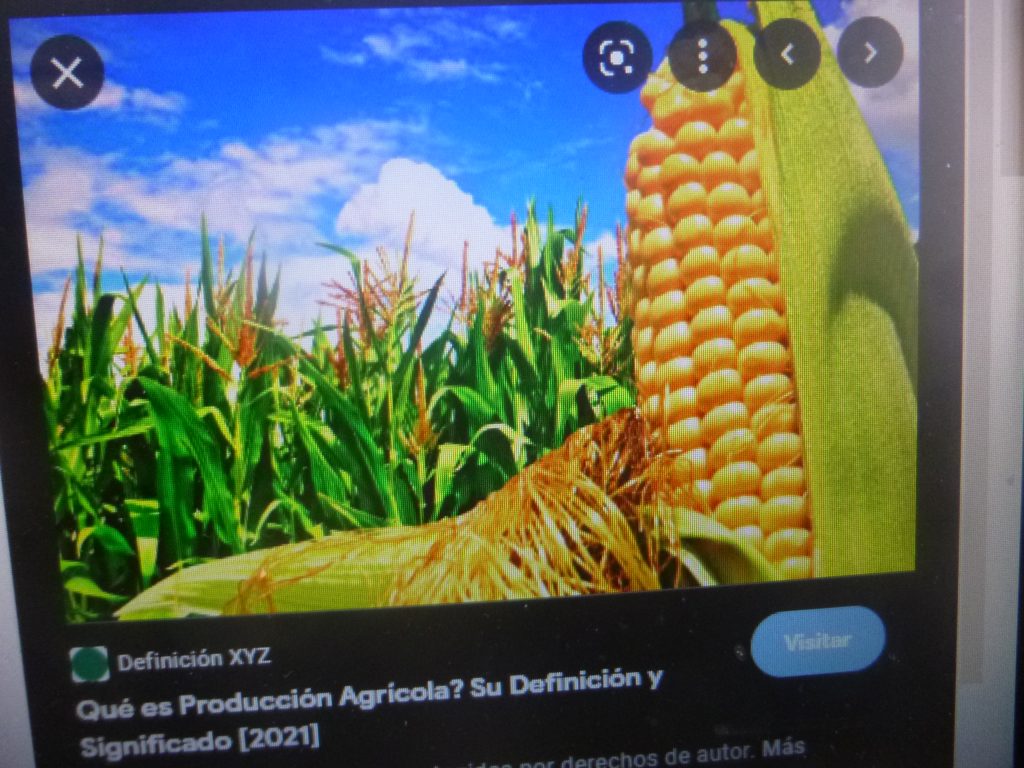 Producir alimentos para 9 mil millones en el 2050, reto para el mundo