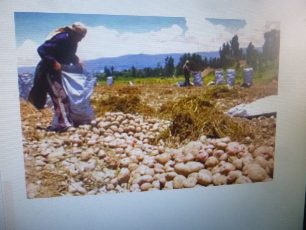 La balanza comercial de productos agropecuarios es desfavorable a México, advierten