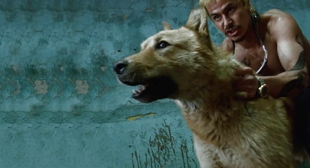 Tres años de cárcel por matar a balazos a un perro en la colonia Guadalupe Victoria