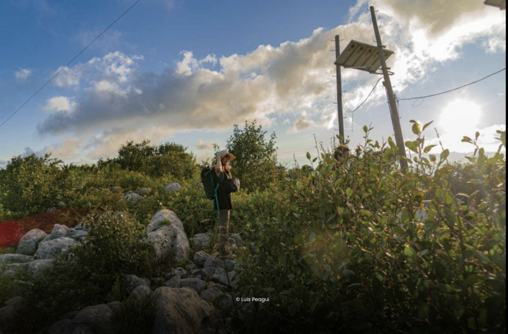 5 emprendedores que están revolucionando el turismo en México