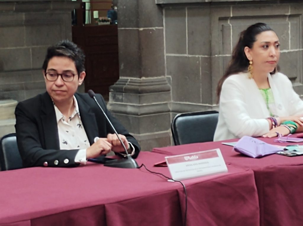 Puebla, tercer estado del país en embarazo adolescente: Abigail Báez