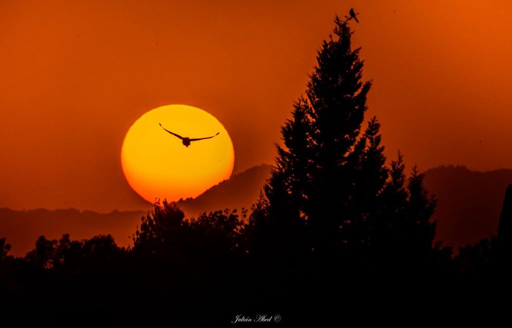 ¿Hombre feliz? Por Salvador Echeagaray, Director del Departamento de Filosofía de la UAG