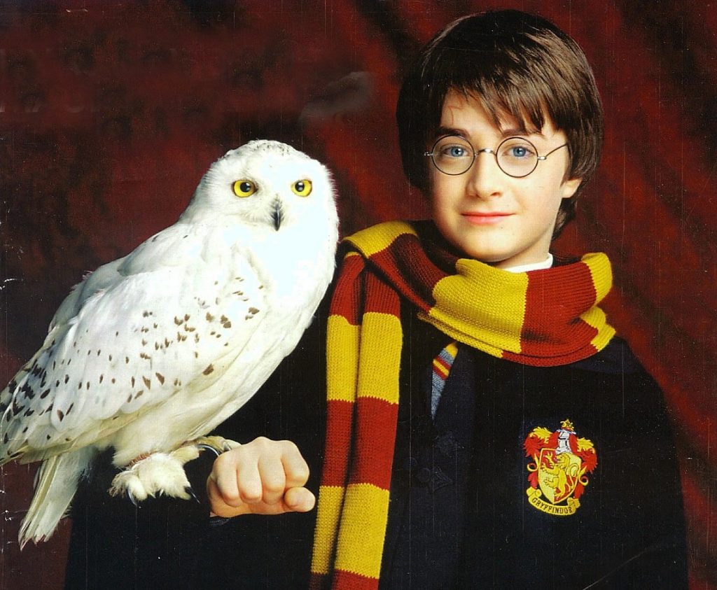 Concierto sinfónico Harry Potter será el 10 de septiembre