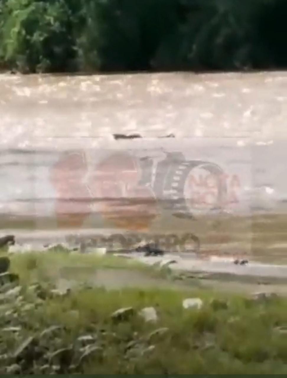 Video desde Puebla: Encuentran cadáver que flotaba en río de Axutla