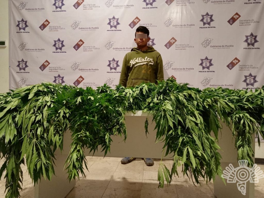 Detiene Policía Estatal a hombre con cuatro kilogramos de aparente marihuana