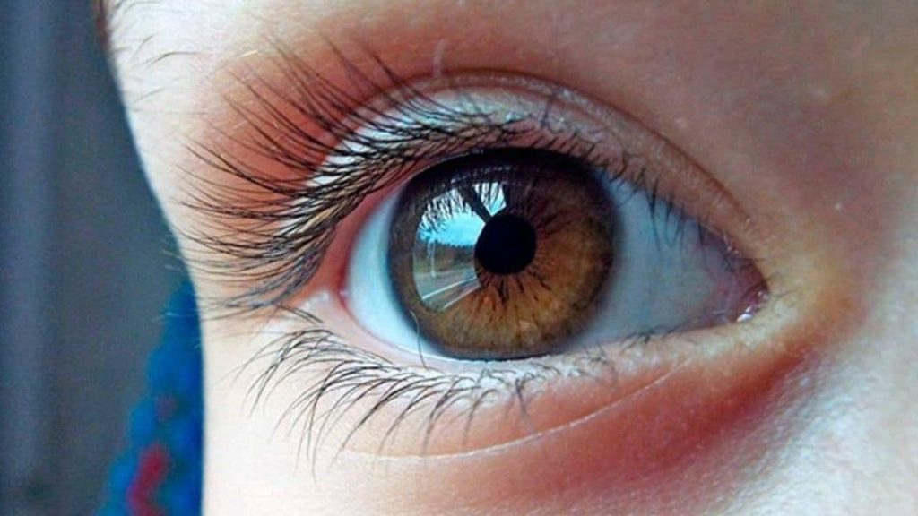 Incrementa el riesgo de padecer cataratas a nivel mundial