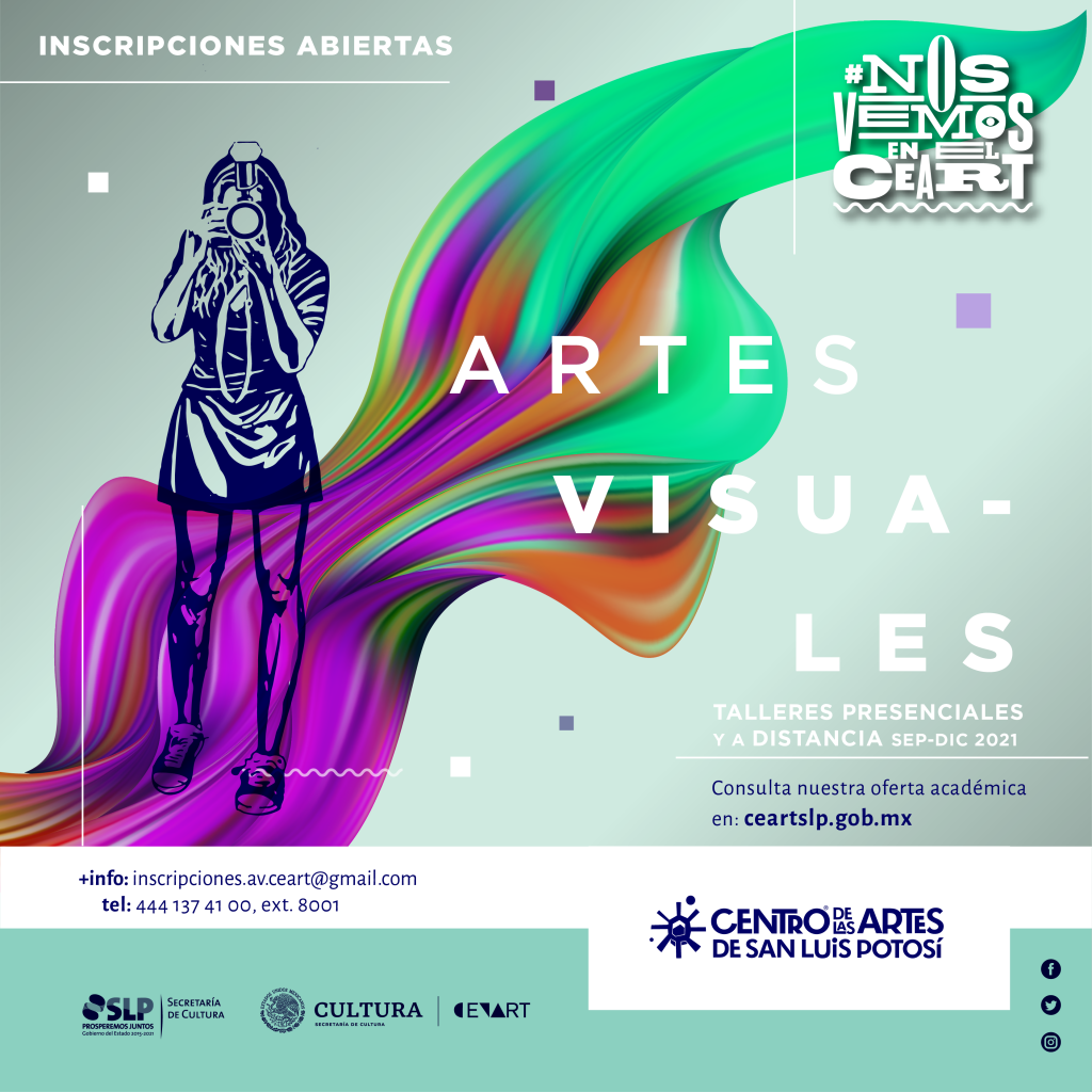 Programas académicos de iniciación y actualización en artes visuales