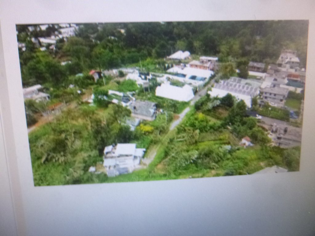 Grandes daños dejó Grace a los floricultores de la Sierra Norte