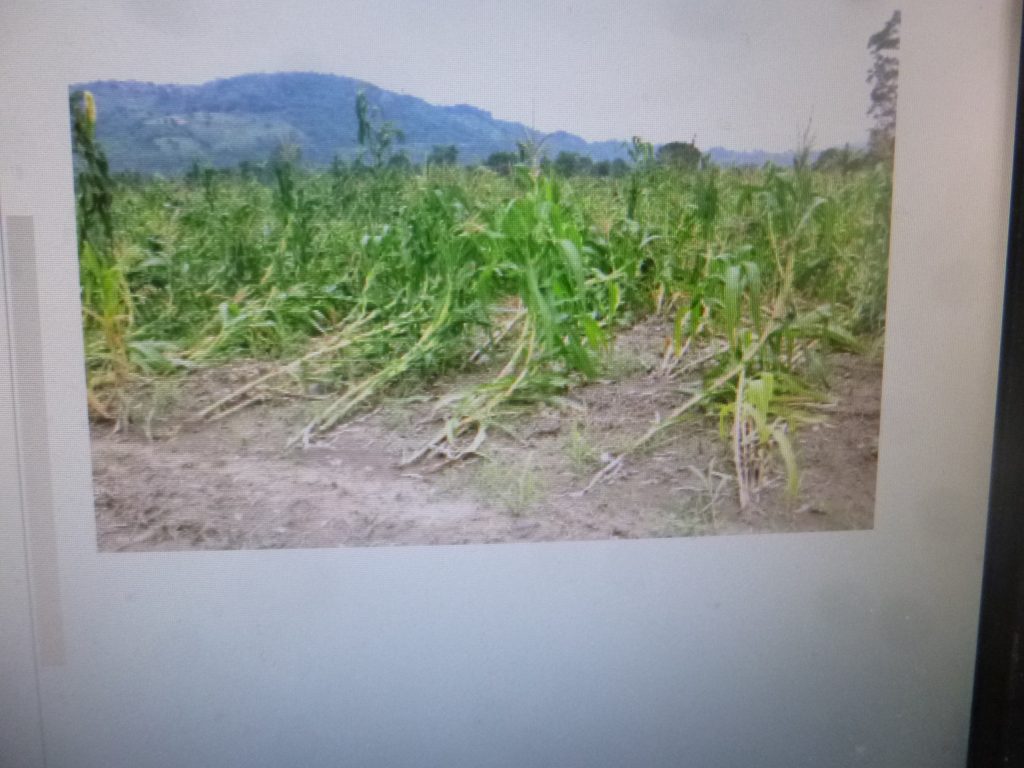 La SDR inició la entrega de apoyos a los productores afectados por el paso de Grace