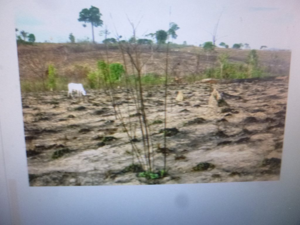 En este gobierno federal la pobreza en lugar de disminuir crece, afirma analista