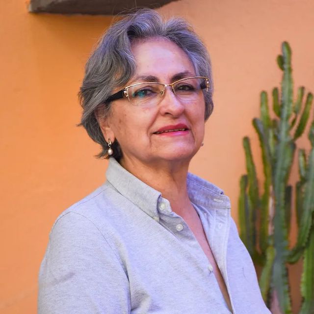 Profesionalización docente para rescatar a la universidad: Lupita Grajales