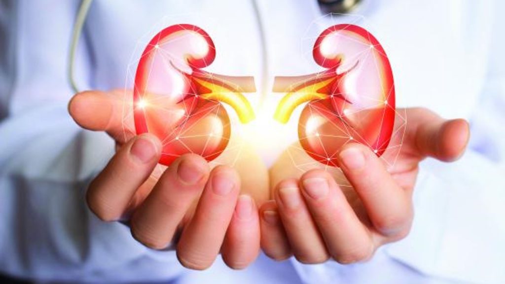 En México, solo 30% ha platicado seriamente con su familia de su postura sobre la donación de sus órganos en caso de morir: COP UNITEC