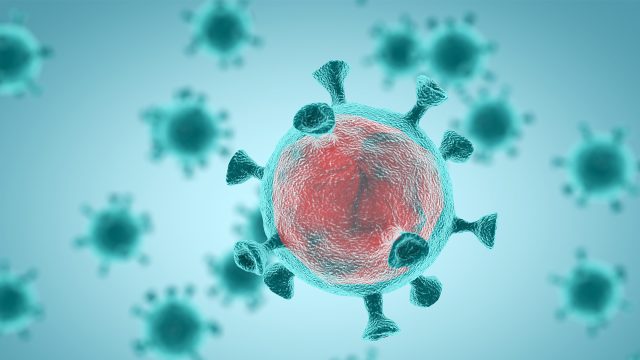 Virus de SARS-CoV-2 e influenza A inactivados por tela de nylon con zinc integrado
