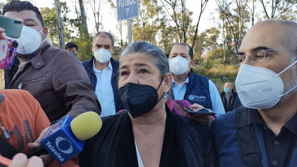 No se actuó a tiempo para evitar tala de las 20 palmeras: Myriam Arabian