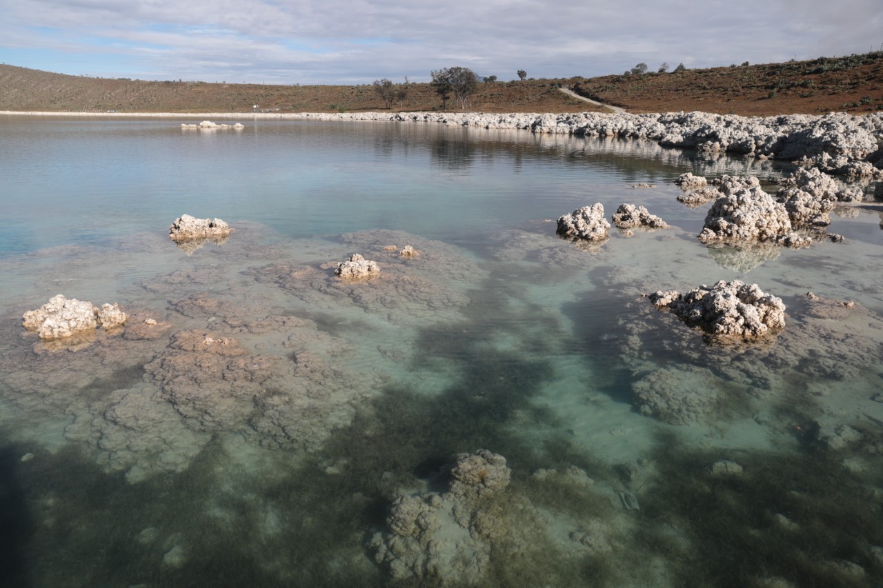 Gobierno de Puebla vigila que no se dañe más el ecosistema en la laguna de Alchichica