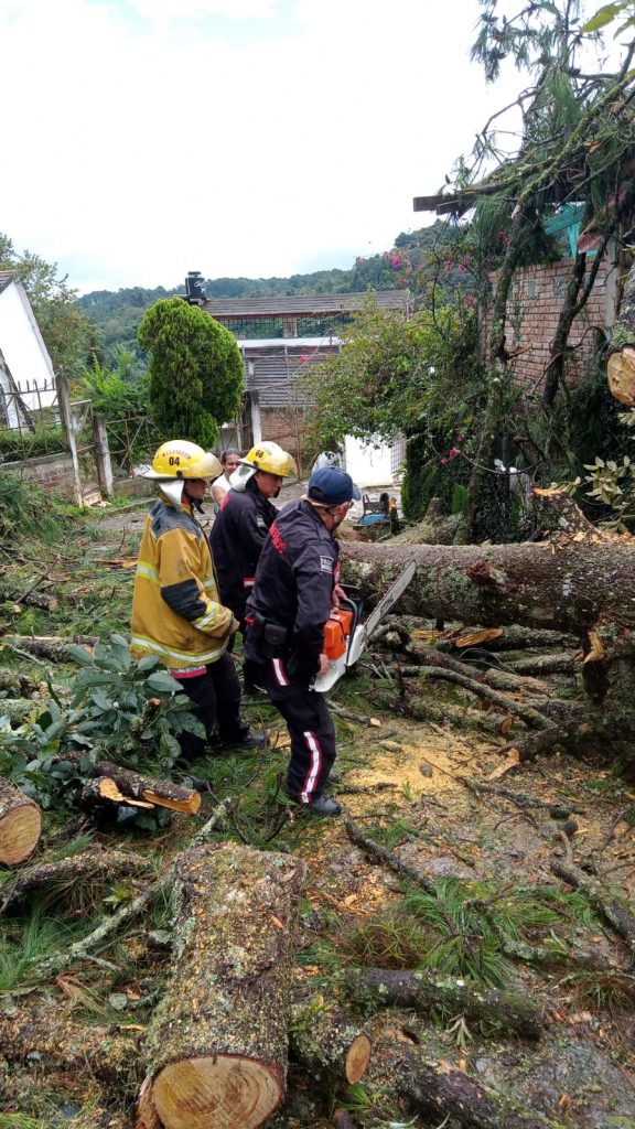 Desde Huauchinango: Bomberos atienden reporte de árbol caído en estacionamiento