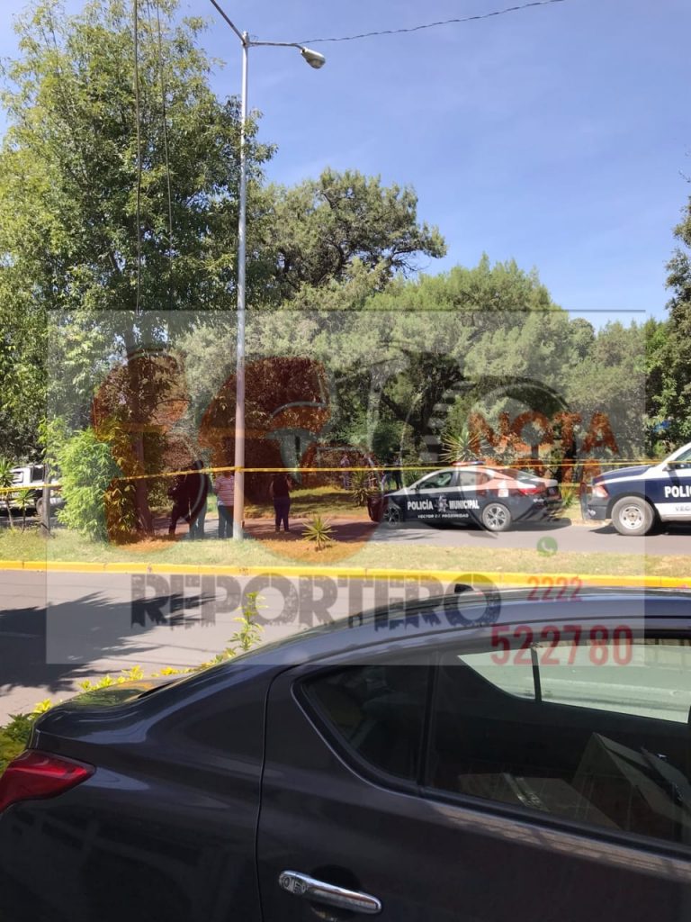 Video desde Puebla: Hallan cadáver en avanzado estado de descomposición en barranca de Bosques de San Sebastián