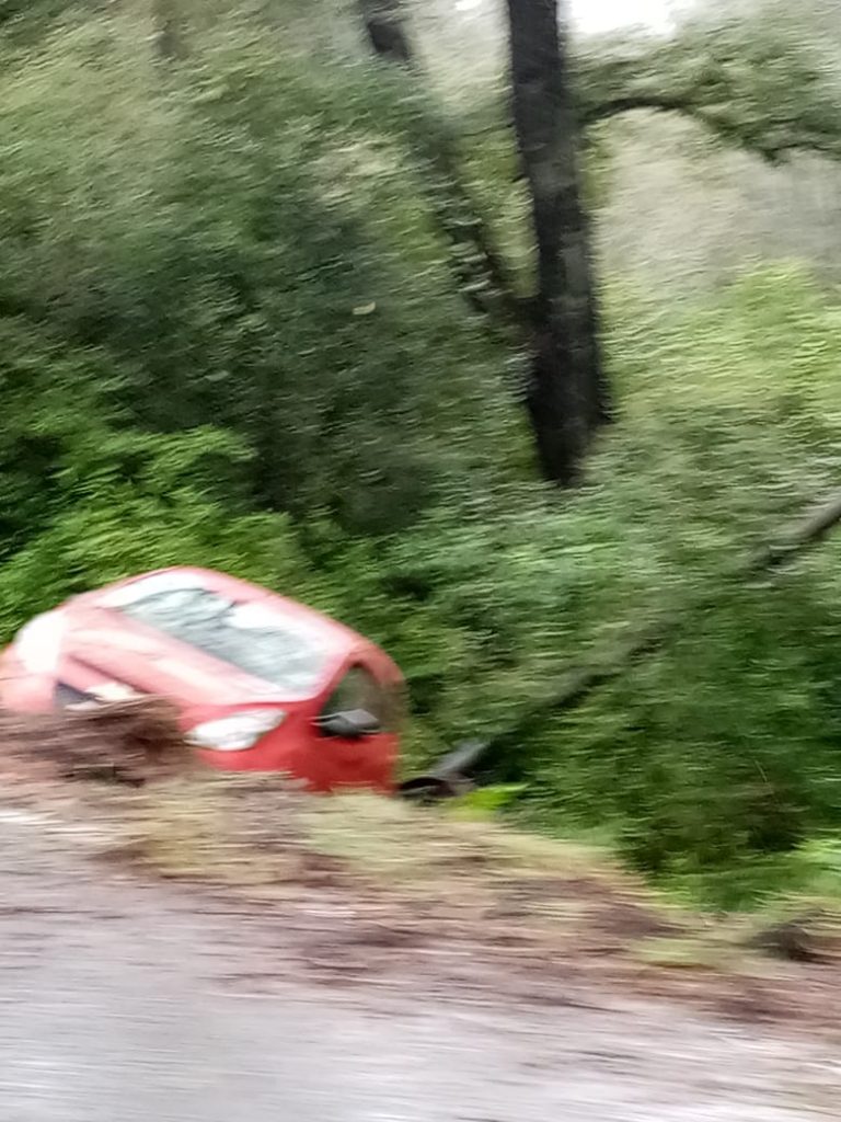 Desde Huauchinango: Mujer sale ilesa luego de perder el control de su auto en la carretera México-Tuxpan